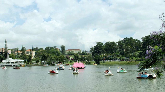 Mãn nhãn với 7 đài sen khổng lồ trên hồ Xuân Hương - 4 Đài sen khổng lồ thu hút nhiều khách du lịch