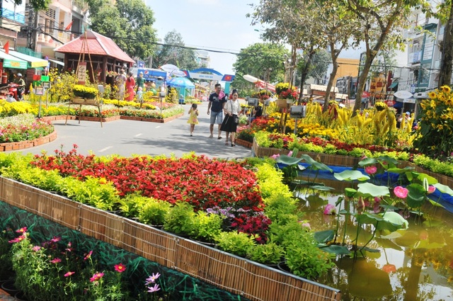 Ngắm đường hoa Tây Đô sống động trong sắc Xuân mới - 9 Đường hoa không chỉ có hoa mà còn có cả ao sen mát rượi