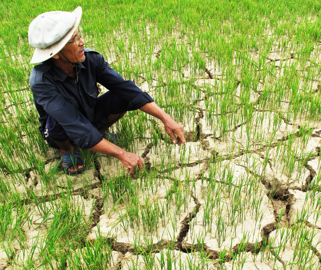 Thủ tướng đề nghị Hà Lan hỗ trợ chống sạt lở, xâm nhập mặn - 2 Biến đổi khí hậu gây hạn hán nặng nề tại ĐBSCL những năm qua