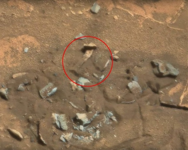 Phát hiện xương đùi của người ngoài hành tinh trên bề mặt sao Hỏa? - 1