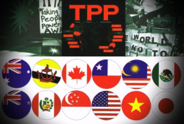 Việt Nam nói gì về tương lai TPP không có Mỹ? - 1 12 nước thành viên tham gia ký kết Hiệp định TPP, nhưng hiện nay Mỹ đã rút khỏi Hiệp định này
