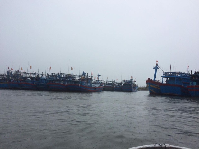 Đã có 1 người thiệt mạng do bão số 12 - 4 Tàu thuyền của ngư dân Quảng Ngãi vào cảng tránh trú bão