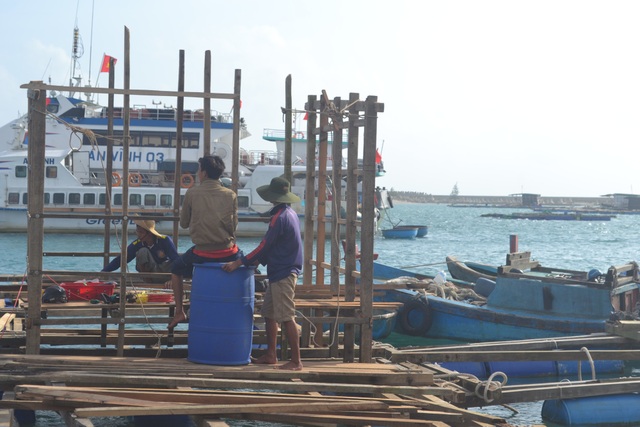 Quảng Ngãi: Ngư dân vay hàng trăm triệu đồng phát triển thủy sản sau bão - 1 Người dân Lý Sơn phải vay mượn vốn đầu tư vào vụ nuôi trồng thủy sản mới