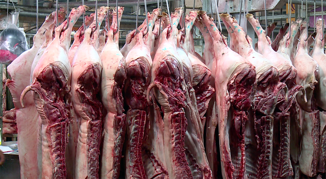 Thực tế, chỉ khoảng 35% thịt heo tại chợ đầu mối Bình Điền, Hóc Môn có thể truy xuất nguồn gốc.