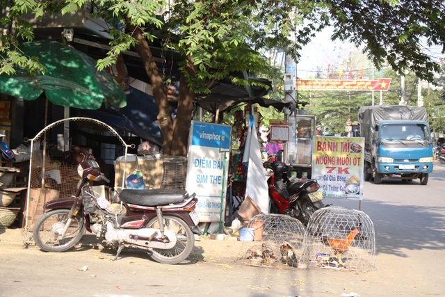 Nan giải "cuộc chiến" giành vỉa hè cho người đi bộ - 3 Người dân tận dụng vỉa hè đường Nguyễn Tự Tân để... nuôi gà.