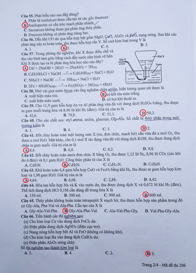 Đáp án gợi ý đề Hóa học kỳ thi THPT quốc gia 2017, mã đề 206 - 2 Đáp án gợi ý đề Hóa học kỳ thi THPT quốc gia 2017, mã đề 206 - 2