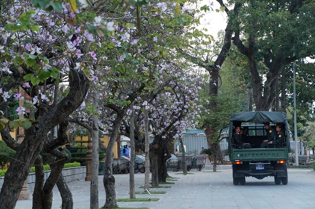 Hà Nội lãng mạn trong màu trắng tím hoa ban - 4
Năm nào cũng vậy, hoa ban nở rộ vào mỗi dịp đầu xuân. Cứ đến mùa hoa ban nở là đường Bắc Sơn (Hà Nội) lại rực rỡ màu hoa trắng tím.