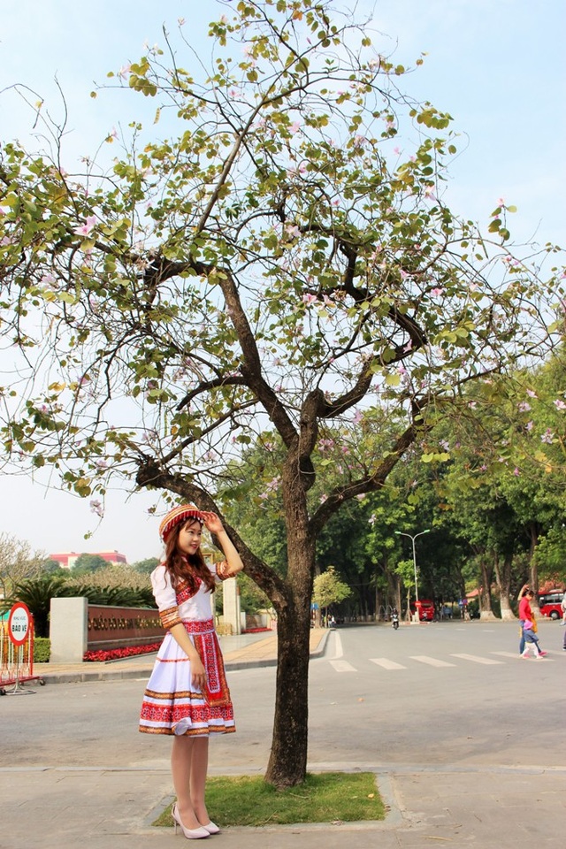 Ngắm sắc ban tím mang Tây Bắc về giữa Hà Nội - 7 Những cô gái trong bộ quần áo Tây Bắc càng khiến sắc hoa ban đẹp hơn gấp bội phần.