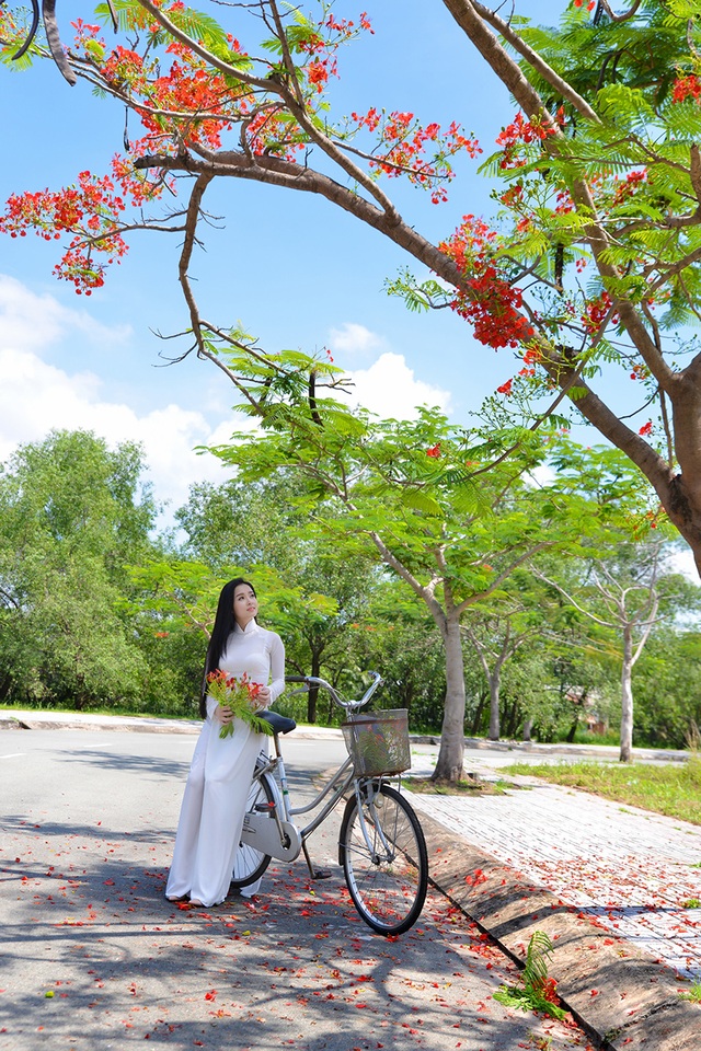 Mùa hoa phượng vĩ ở thành phố mang tên Bác - 4 Cứ mỗi mùa phượng vĩ nở nộ, các cô gái lại rủ nhau đi chụp ảnh với ý tưởng này