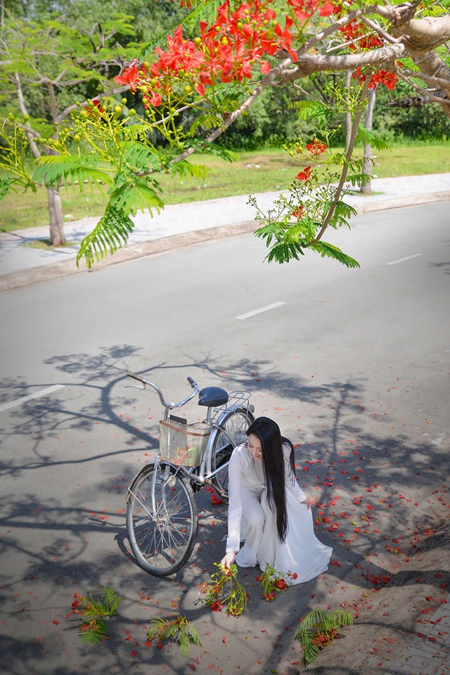 Mùa hoa phượng vĩ ở thành phố mang tên Bác - 6 Mùa hoa phượng vĩ ở thành phố mang tên Bác - 6