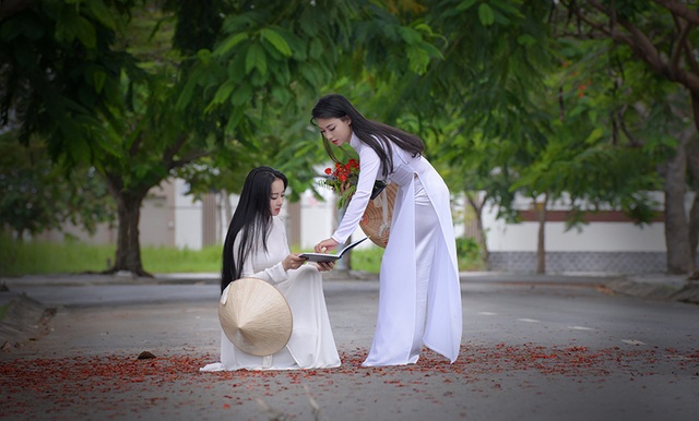 Mùa hoa phượng vĩ ở thành phố mang tên Bác - 14 Mùa hoa phượng vĩ ở thành phố mang tên Bác - 14
