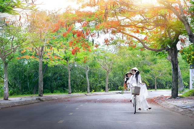 Mùa hoa phượng vĩ ở thành phố mang tên Bác - 15 Mùa hoa phượng vĩ ở thành phố mang tên Bác - 15