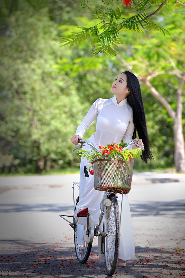 Mùa hoa phượng vĩ ở thành phố mang tên Bác - 17 Mùa hoa phượng vĩ ở thành phố mang tên Bác - 17