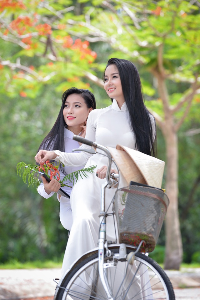 Mùa hoa phượng vĩ ở thành phố mang tên Bác - 18 Mùa hoa phượng vĩ ở thành phố mang tên Bác - 18