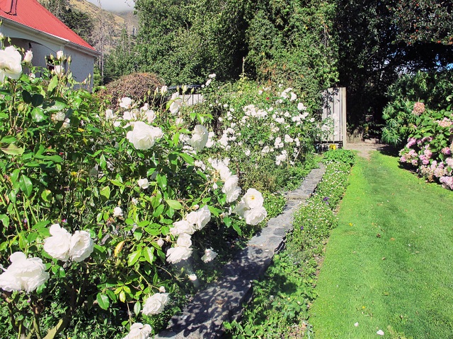 New Zealand - Những mùa hoa bỏ lại - 4
Thời tiết đẹp, nắng, gió, không khí, độ ẩm đạt chuẩn khiến những bông hồng ở đây đều bự cỡ bàn tay người lớn. Mùi thơm ngát của hoa hồng đủ màu sẽ khiến bạn có cảm giác thư thái hơn bao giờ hết