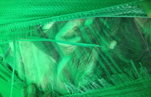 Bắt vụ vận chuyển 10 tấn da trâu không rõ nguồn gốc? - 1 Số lượng da trâu được bọc kín trong những túi lớn.