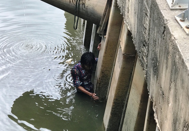 Người đàn ông nhảy kênh tự tử rồi gào thét kêu cứu - 3
Người đàn ông sau khi đánh phụ nữ đã nhảy xuống kênh tự tử.