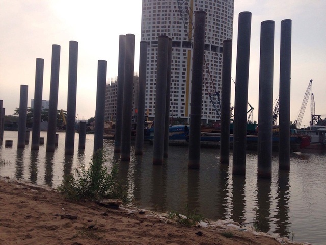 Heo rừng kiếm ăn trong dự án bất động sản tỷ đô - 5 River City (đường Đào Trí, P.Phú Thuận, Q.7) cũng lâm vào tình cảnh tương tự