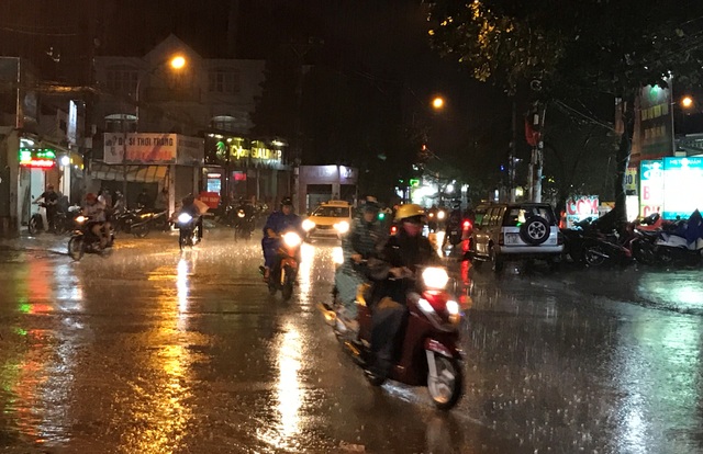 Mưa trái mùa cực lớn, người làm mai Tết lo “toát mồ hôi” - 3 Mưa trái mùa cực lớn, người làm mai Tết lo “toát mồ hôi” - 3