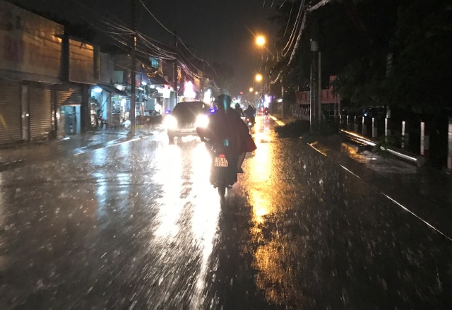 Mưa trái mùa cực lớn, người làm mai Tết lo “toát mồ hôi” - 2 Mưa kéo dài hơn 1 giờ...