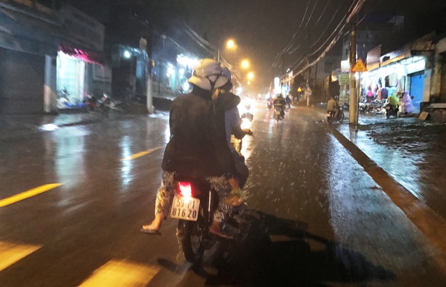 Mưa trái mùa cực lớn, người làm mai Tết lo “toát mồ hôi” - 4 Mưa trái mùa cực lớn, người làm mai Tết lo “toát mồ hôi” - 4