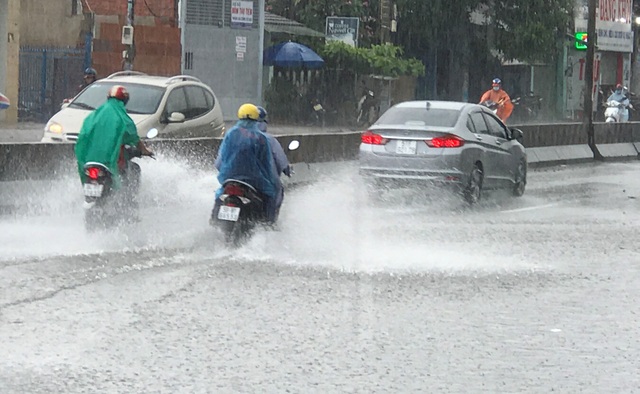 Sài Gòn lại có mưa trái mùa trên diện rộng - 4
Nhiều tuyến đường bị ngập sâu trong biển nước sau cơn mưa trái mùa chiều nay 26/2.