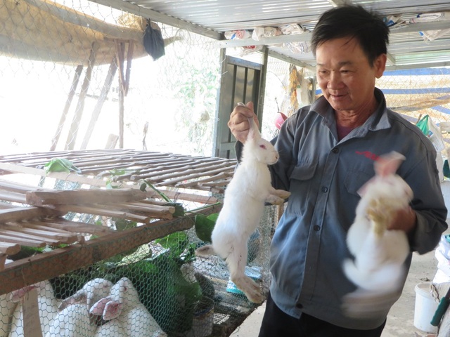 Thu hàng trăm triệu đồng mỗi năm từ nuôi thỏ - 1
Cựu chiến binh Lê Văn Cững bên trang trại nuôi thỏ của gia đình mình