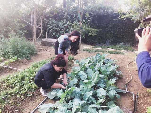 Vườn rau xanh tự tay trồng của NSND Thanh Hoa - 2
Một trong những lý do khiến NSND Thanh Hoa quyết định chọn vùng ngoại thành để sống là vì có không gian để trồng rau sạch cho cả gia đình. Vì vậy, bà đã tận dụng một khoảng đất trống trong vườn để trồng các loại rau, từ rau cải, cà chua, bắp cải, su hào... mùa nào thức nấy. Mấy năm nay, cả gia đình bà chưa từng phải ăn một món rau nào mua ngoài chợ.