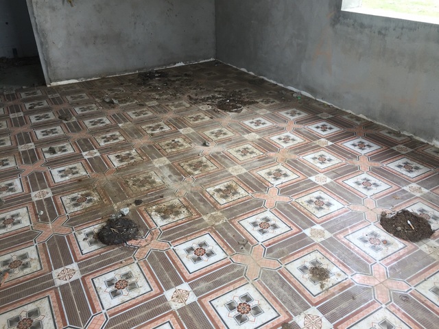 Nghệ An: Dự án nhà máy nước sạch 23 tỷ đồng đang hoang phế? - 4 Nghệ An: Dự án nhà máy nước sạch 23 tỷ đồng đang hoang phế? - 4
