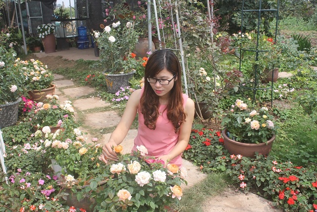Cô gái 9x sở hữu vườn hoa hồng trị giá 5 tỷ đồng - 1 Phạm Thiên Trang - chủ vườn hoa hồng cổ nổi tiếng ở Hà Nội