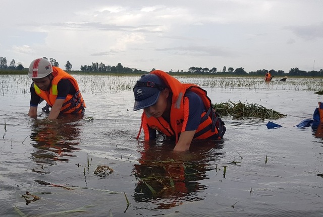 Nhiều vùng vẫn ngập sâu, cảnh sát cứu hỏa giúp dân chống "giặc nước" - 3
Nước trên những cánh đồng ngập sâu ngang người.