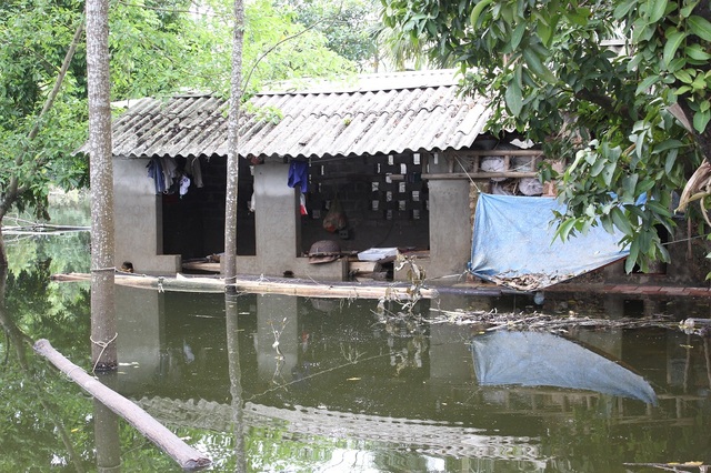 Dân Thủ đô nuôi lợn trong nhà, đánh cá giữa đường - 9
Môi trường ô nhiễm nghiêm trọng, tiềm ẩn nhiều dịch bệnh.
