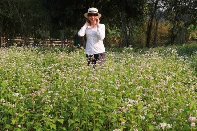 Vườn tam giác mạch “có 1 không 2” hút hồn du khách ở Ninh Bình - 7