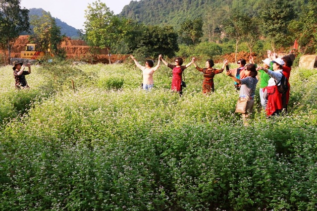 Vườn tam giác mạch “có 1 không 2” hút hồn du khách ở Ninh Bình - 15