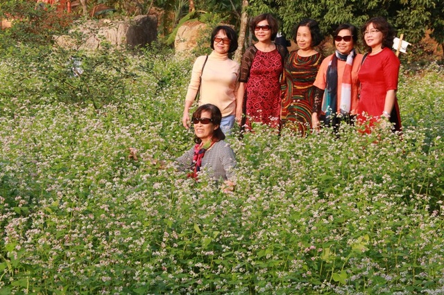 Vườn tam giác mạch “có 1 không 2” hút hồn du khách ở Ninh Bình - 17