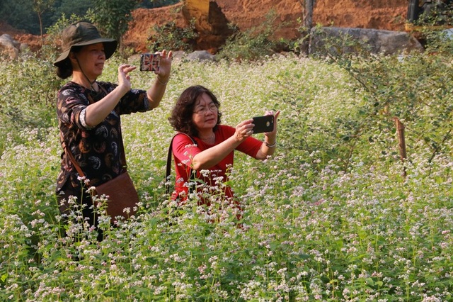 Vườn tam giác mạch “có 1 không 2” hút hồn du khách ở Ninh Bình - 20