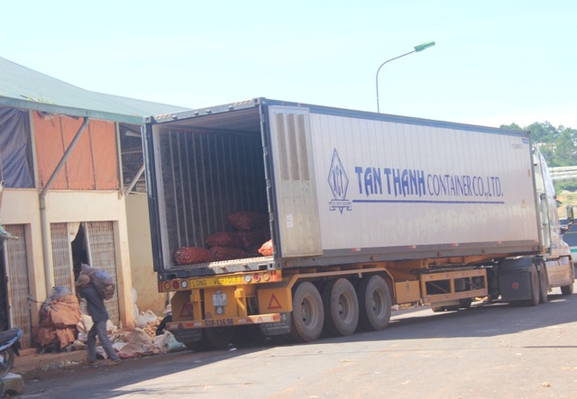 "Chống" khoai tây Trung Quốc "đội lốt" khoai tây Đà Lạt - 1 Khoai tây Trung Quốc được nhập về chợ nông sản Đà Lạt