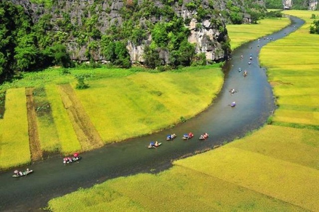 Tam Cá»c ÄÆ°á»£c vÃ­ nhÆ° vá»nh Háº¡ Long trÃªn cáº¡n vá»i cÃ¡nh Äá»ng lÃºa chÃ­n vÃ ng.