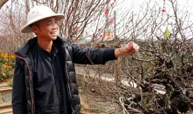 Chiêm ngưỡng những khu vườn tiền tỷ của dân chơi Hà thành - 3 Theo chủ vườn, trung bình mỗi ngày ông đón khoảng hơn 200 khách đến chụp ảnh và vãn cảnh. (Ảnh: vietnamnet)