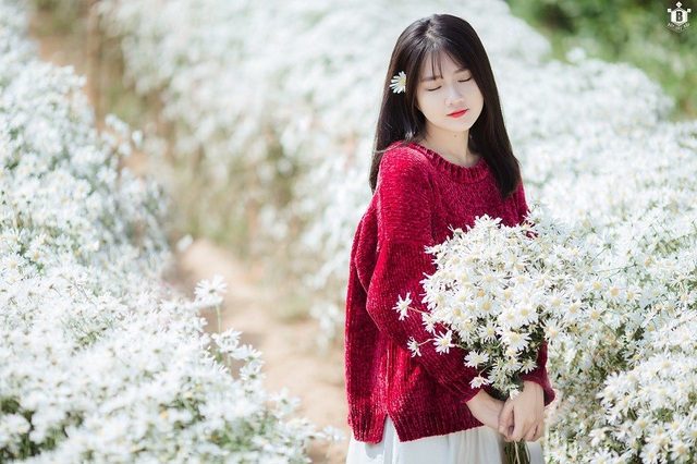 "Hot girl Reuters" Kiều Trinh lại gây thương nhớ với bộ ảnh bên cúc họa mi - 14 "Hot girl Reuters" Kiều Trinh lại gây thương nhớ với bộ ảnh bên cúc họa mi - 14