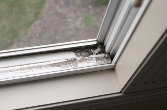 Vệ sinh sạch sẽ các bụi bẩn ở cửa sổ sẽ góp phần làm sạch không khí, bảo vệ sức khỏe cho các thành viên trong gia đình.