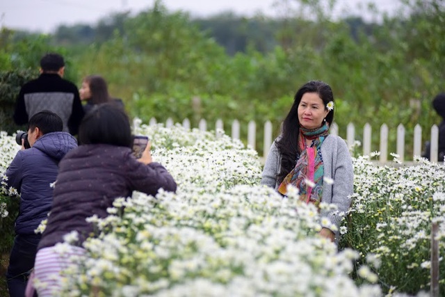 Hàng nghìn người “đổ” về chụp ảnh, vườn cúc họa mi “vỡ trận” vì tắc nghẽn - 11 Không chỉ có các bạn trẻ, nhiều người trung niên cũng tìm đến vườn chụp ảnh với cúc họa mi.