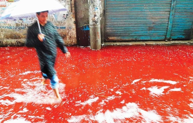 Giật mình nhìn “dòng sông nhuộm máu” trên phố - 3 Ước tính cả chục ngàn con gia súc bị giết trong ngày lễ này