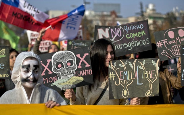 Monsanto đã và đang làm gì tại Việt Nam? - 1
Một cuộc biểu tình chống Monsanto ở Chile năm 2015. Ảnh: AFP.