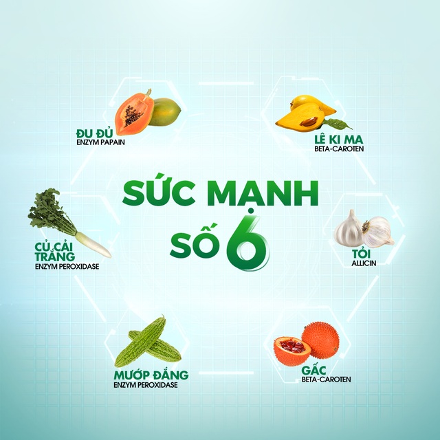 Bạn biết gì về “Giải độc gan bằng Sức mạnh số 6” - 2
Sức mạnh số 6 được ly trích từ 6 loại củ quả tốt cho gan