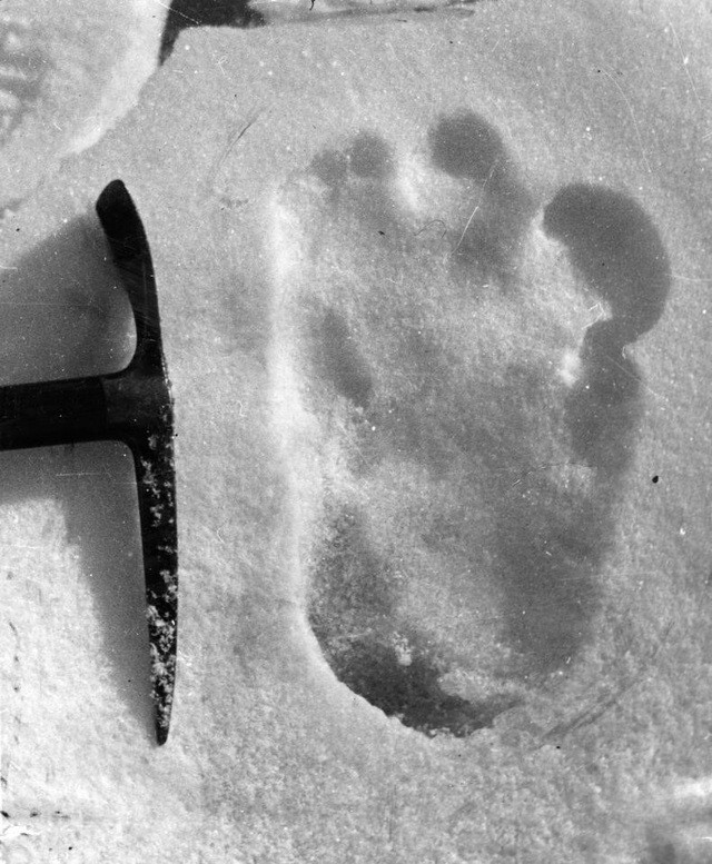 
Dấu chân “người tuyết” nổi tiếng được phát hiện năm 1951 trong một cuộc thám hiểm lên đỉnh Everest.
