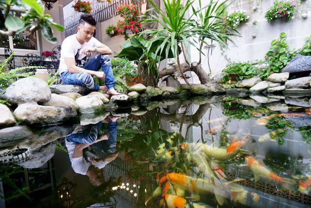 Cận cảnh chốn đi về bình yên "xanh mát" của ca sĩ Cao Thái Sơn - 4 Ngoài ra, điểm nhấn nữa chính là hồ cá Koi Nhật ngay khoảng sân trước nhà tạo sự mát mẻ, thoáng đãng và thư giãn dễ chịu nhất. Nam ca sĩ cho biết mình đã nuôi những chú cá này được 3 năm, từng đoạt một số giải thưởng về cá Koi.