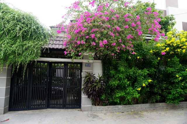 Cận cảnh chốn đi về bình yên "xanh mát" của ca sĩ Cao Thái Sơn - 1 Ngay từ khi bước vào cổng đã thấy được cảm giác dễ chịu bởi hàng hoa giấy màu đỏ thắm đan xen hoa vàng tạo cảm giác thư thái.