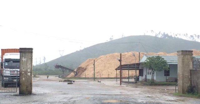 Hà Tĩnh: Người lao động bị chủ sử dụng “bỏ rơi” khi gặp nạn! - 3 Nhà máy chế biến gỗ tiêu dùng và xuất khẩu Kỳ Anh nơi anh Sinh làm việc và đã gặp nạn