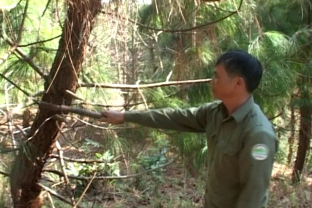 Phát hiện thi thể nhân viên bảo vệ rừng tại biên giới Việt - Lào - 1 Ông Khấm là nhân viên bảo vệ rừng, có thời gian công tác gần 20 năm (Ảnh: H.H)
